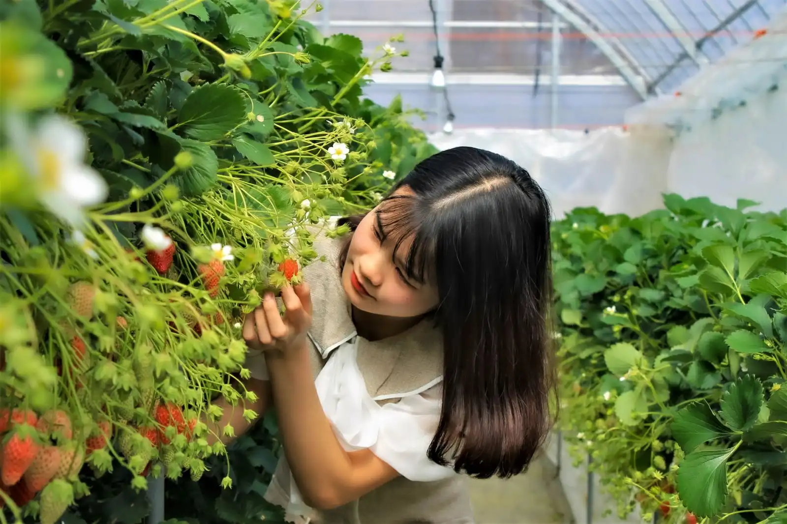 潍坊医美行业新趋势：2024年面部整形技术发展与应用解析