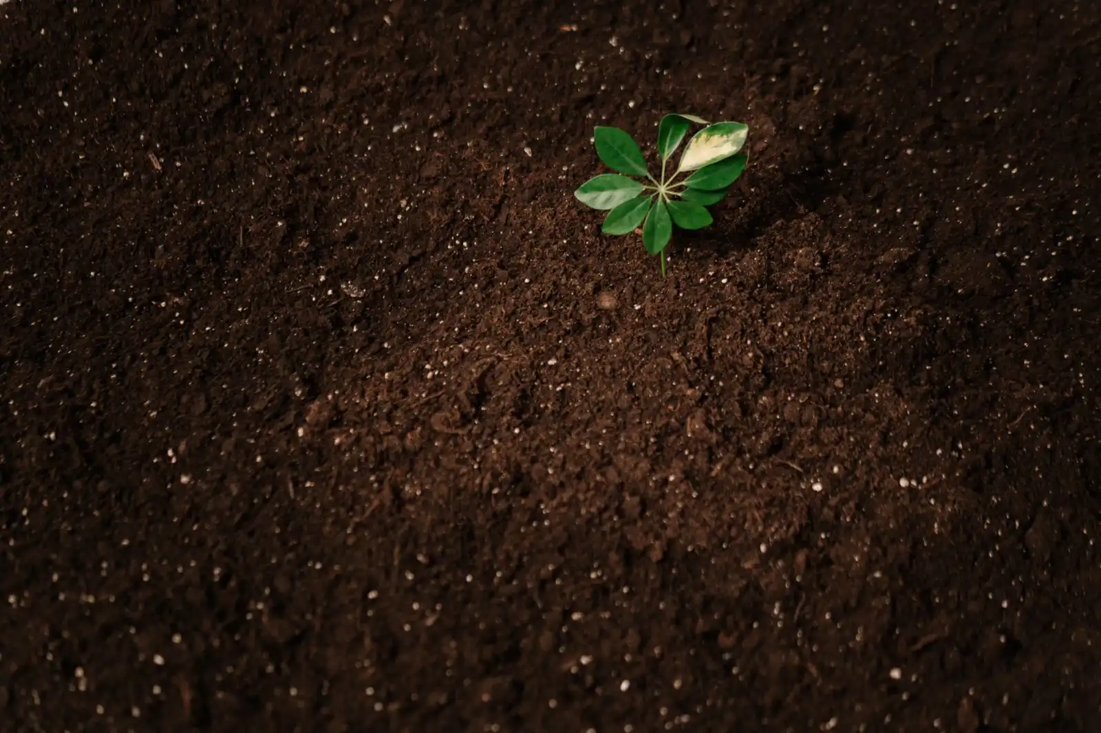 潍坊华美创和皮肤美容项目常见问题解答与注意事项